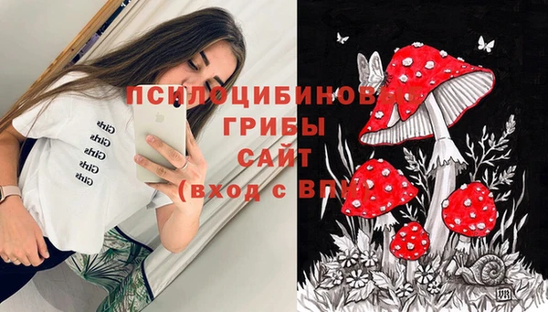 дживик Баксан