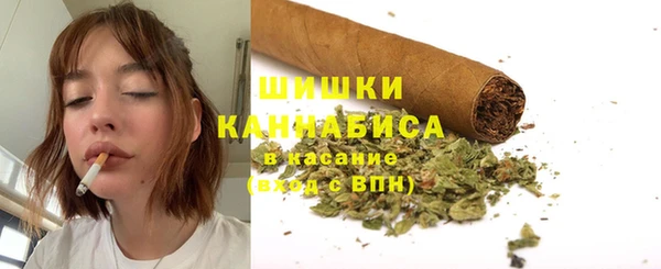 дживик Баксан