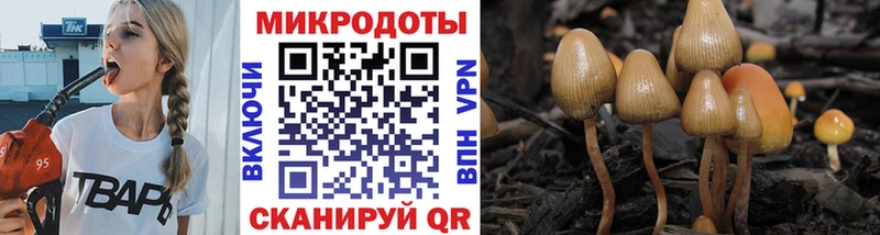 Галлюциногенные грибы MAGIC MUSHROOMS KRAKEN зеркало Волгореченск