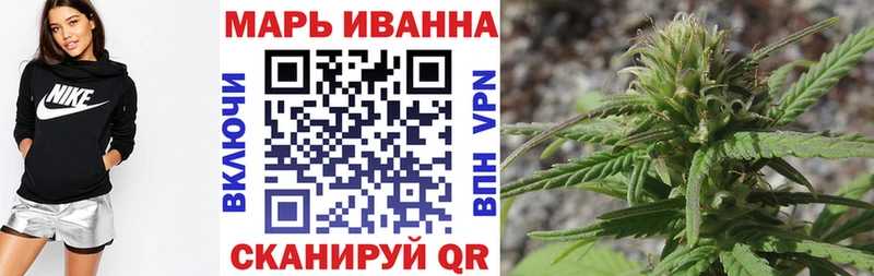 Бошки марихуана сатива  Волгореченск 